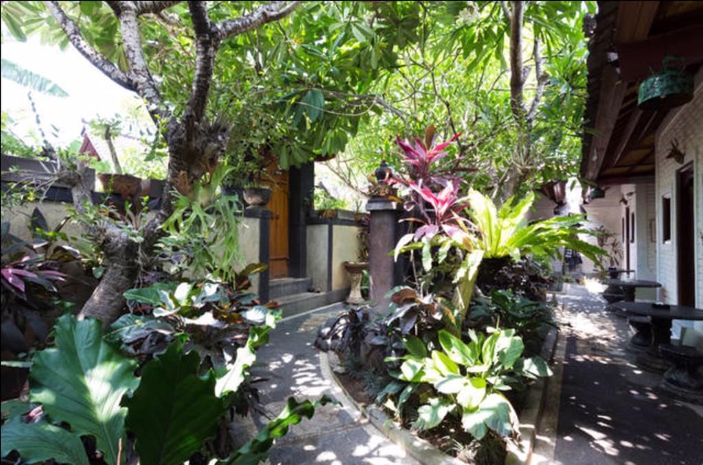 New Danas Canggu Guest House Kerobokan Exterior foto